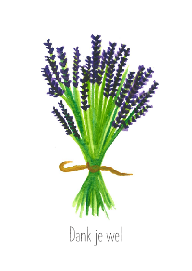 Allerlei | Lavendel